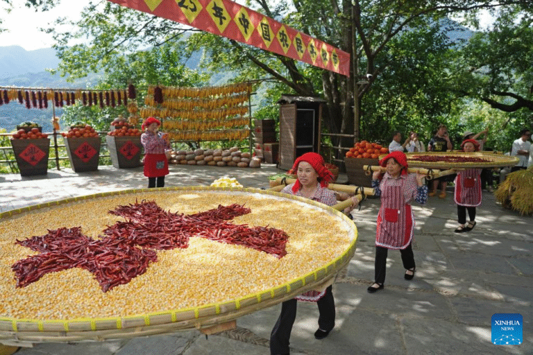 13856395620648242569