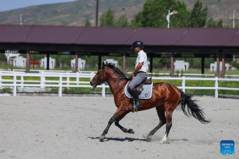 4e5fe53d8d624e95adee0b95ee0c1beb