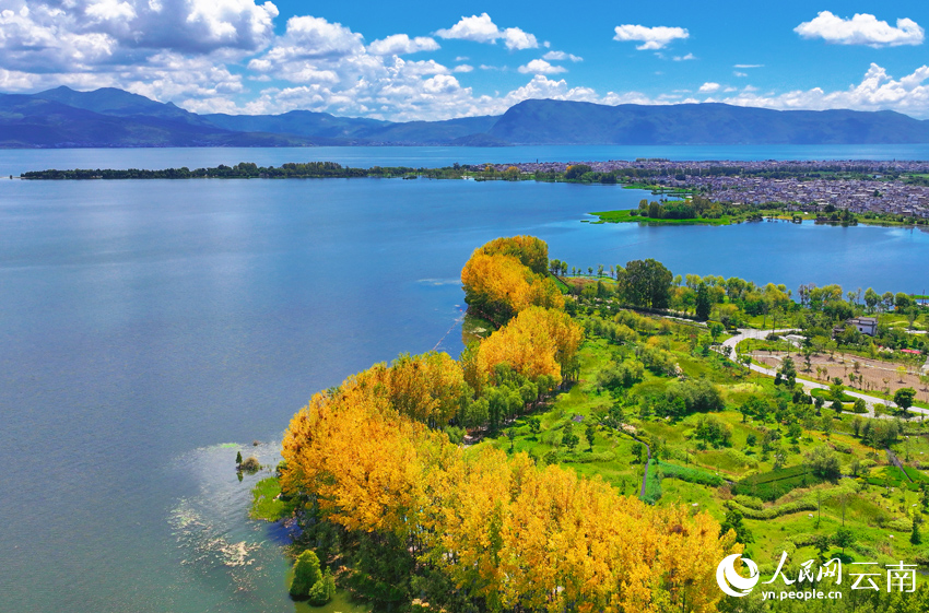 FOREIGN1757060501758U50Q1R0JH4