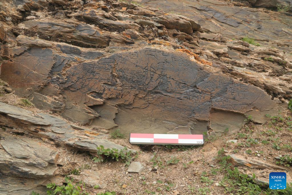 fa3c8e3941954185b13fce34fdb99a50 (1)