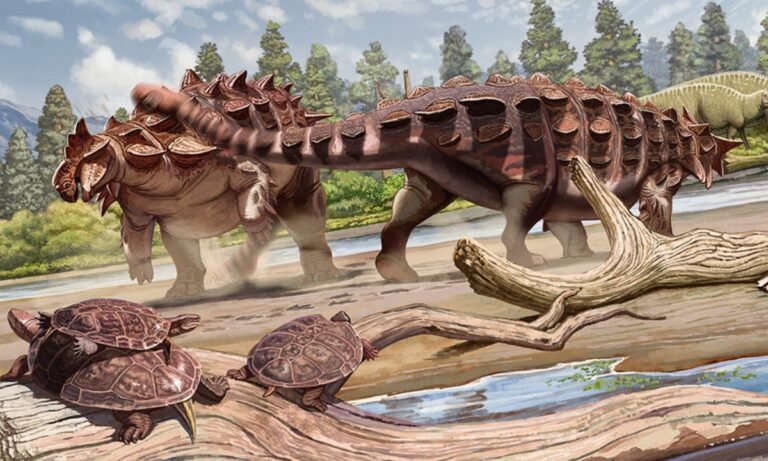 world-class dinosaur geopark