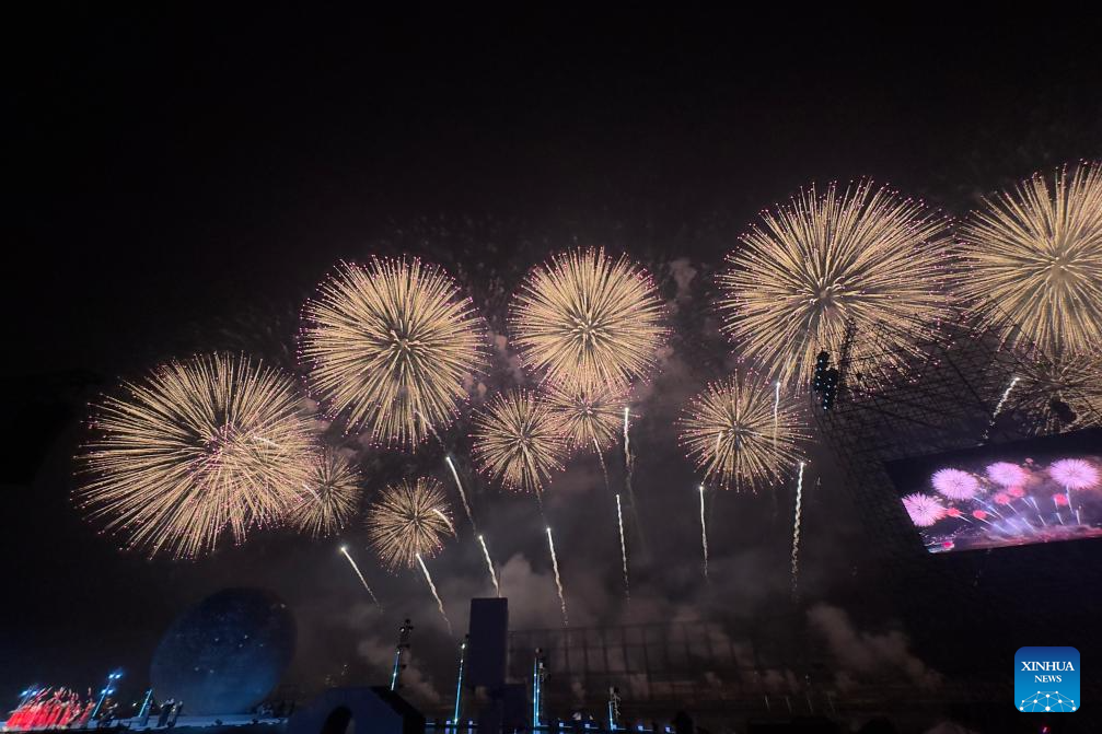 10117004222629674870