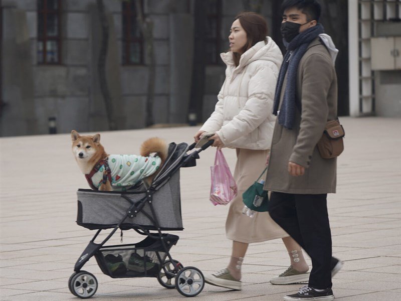 1024x768_85294248364