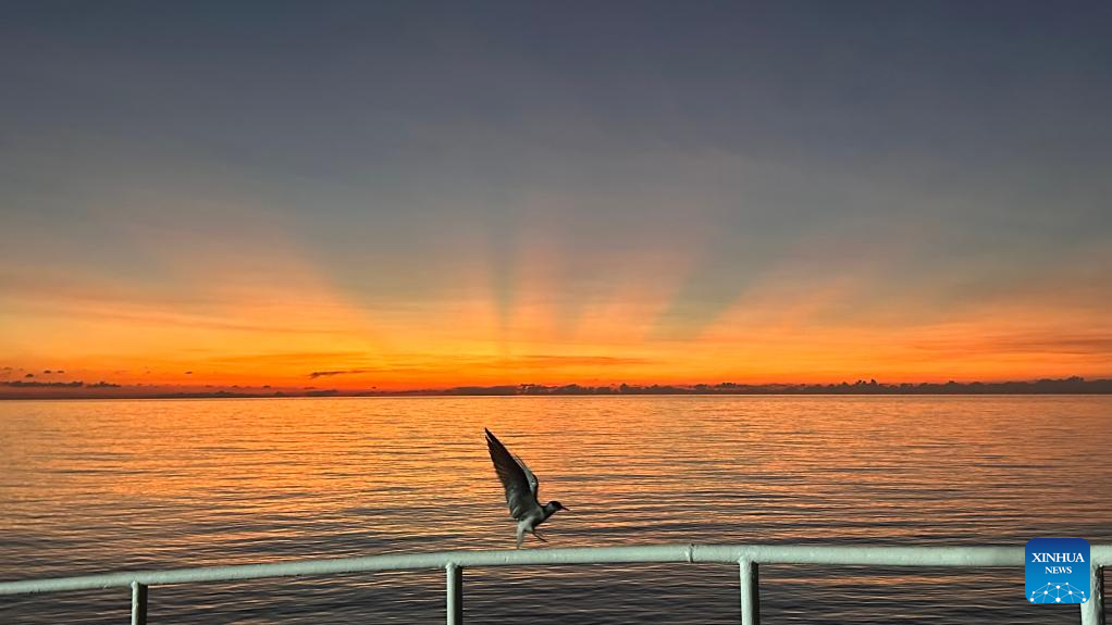 17528688099314977735