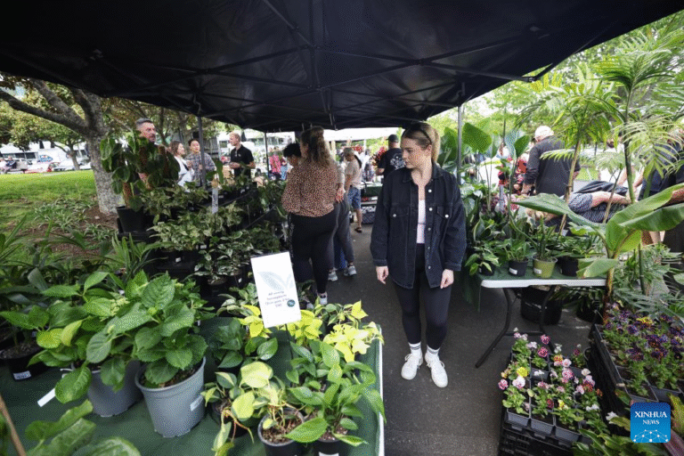 20251019541d0733345b40f9b38451b0fba6993f_2025101944a55095f69240fb8a95e833c8891765