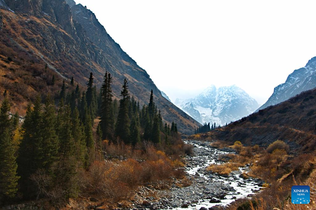 202510216a6371d81123441cb638214491b7f15a_20251021c71c99654e714104bd45cf5815b2fa05