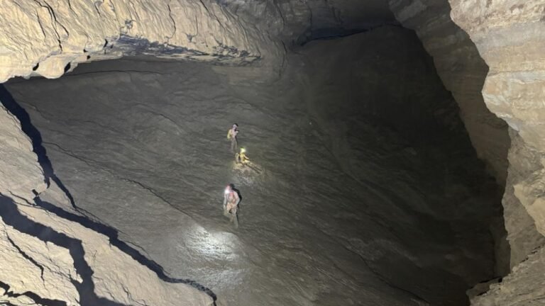 68fc79c6a310f735017f75d9