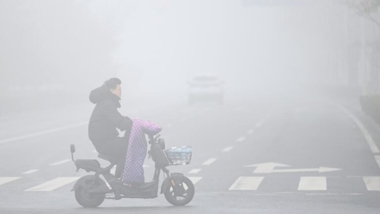 6901c004a310f735017faa6b