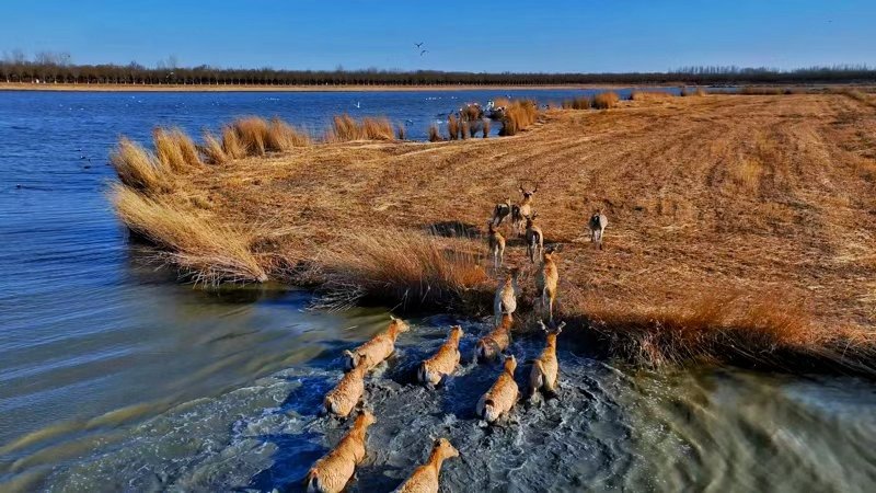 FOREIGN1760146658941L6IFTPY9DV