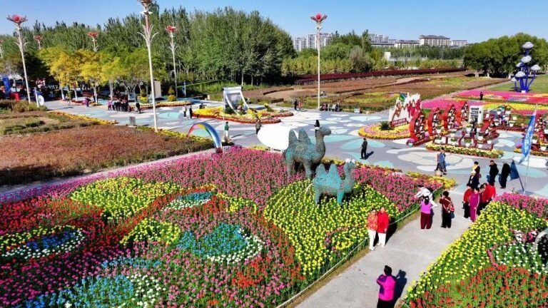 FOREIGN17612020265069WXJG9YVHJ