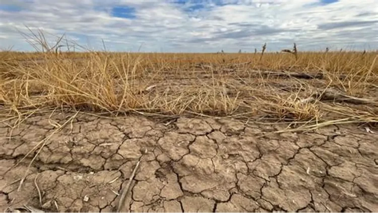 OIP-56-e1760897584190