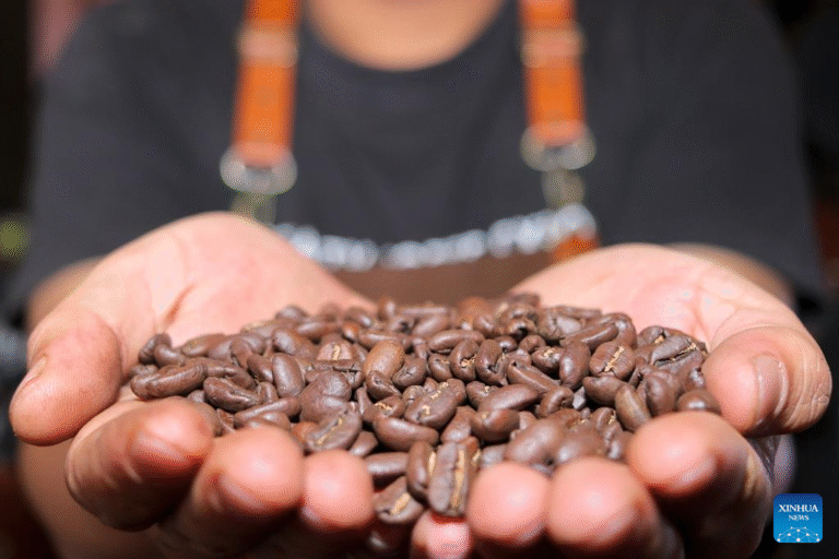 ef439eeac99545ee9a02b9b95beaf020