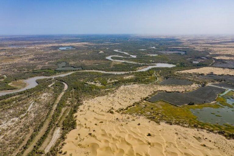 (EcoChina)CHINA-XINJIANG-TARIM RIVER-ECOLOGICAL CONSERVATION (CN)