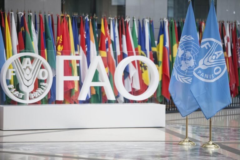 FAO-flags