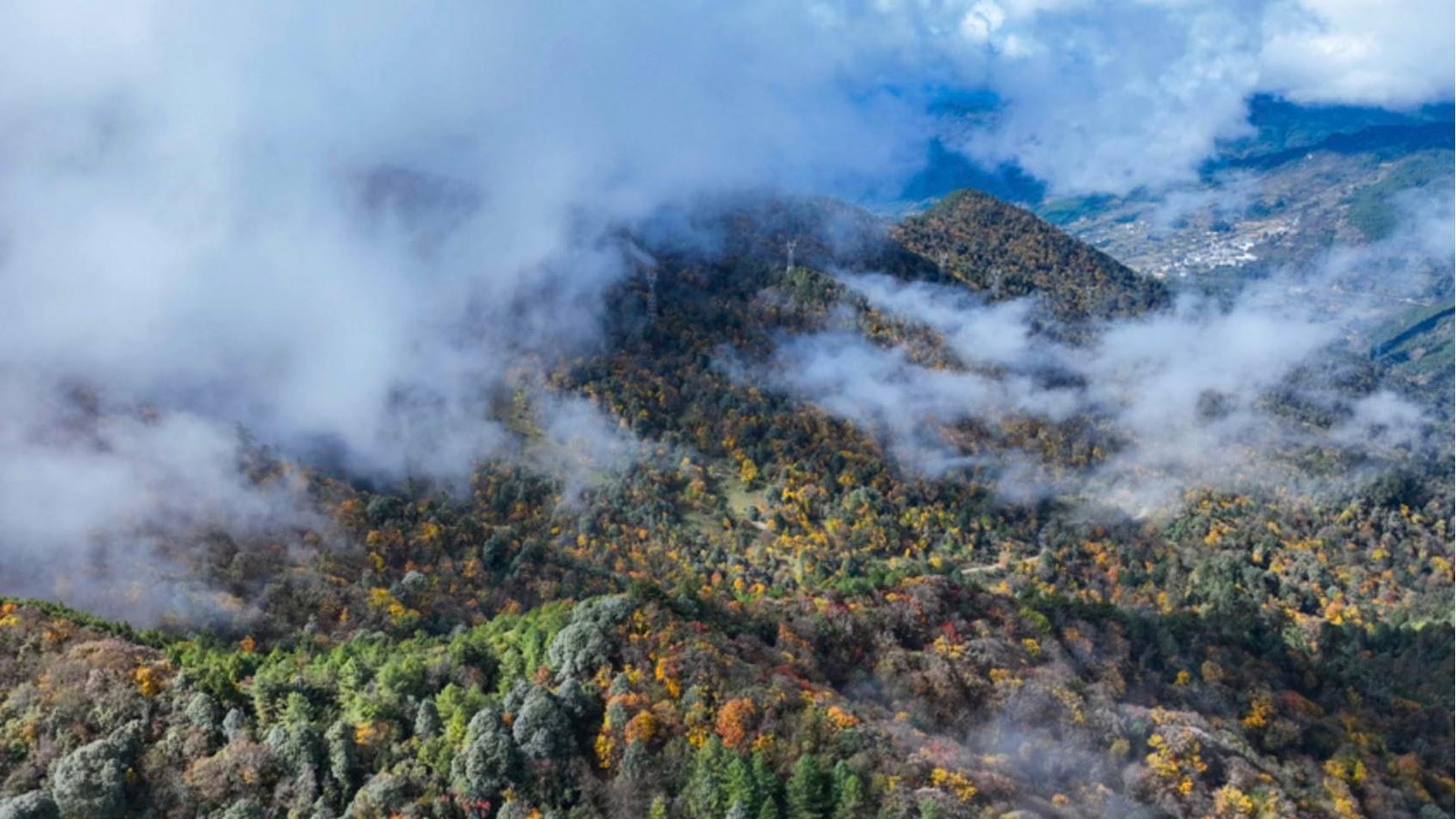 FOREIGN1763369814829SYPP6MIWWV