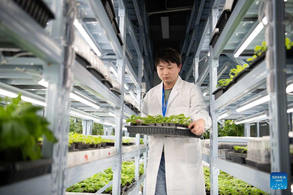 11328998096431808485