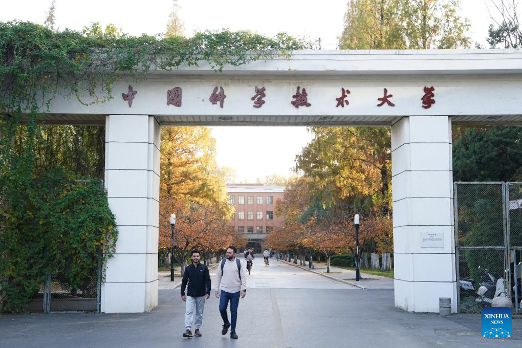 13376556598041361104