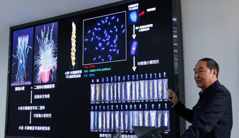 14584019209258108418