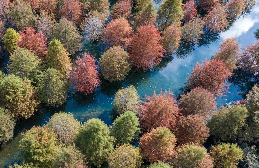 17859646581296190134