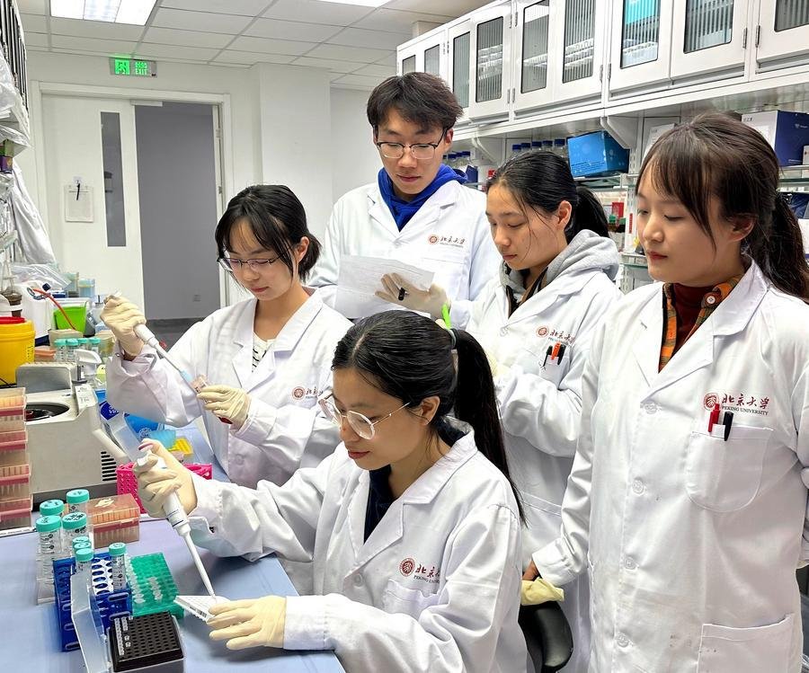 202512246ca27c74bfc14de097163eaa4f761b43_XxjwshE000027_20251224_CBMFN0A001