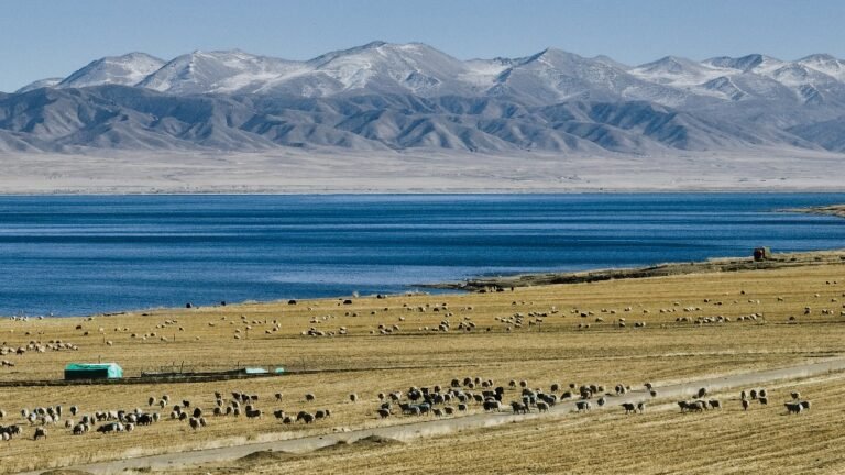 692ea917a310d68600f360c1