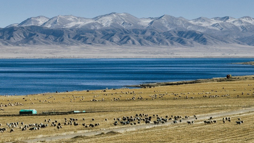 692ea917a310d68600f360c1