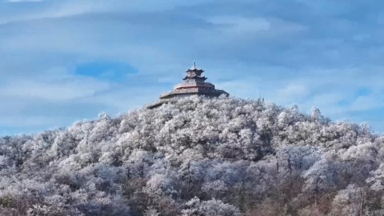 8f55ebc7319946e7afff92e8e644d7c5