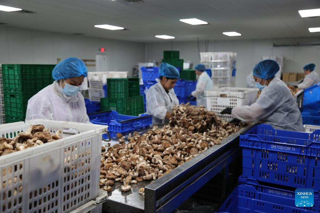 9c1205d753304834aa526d3a63591dcf