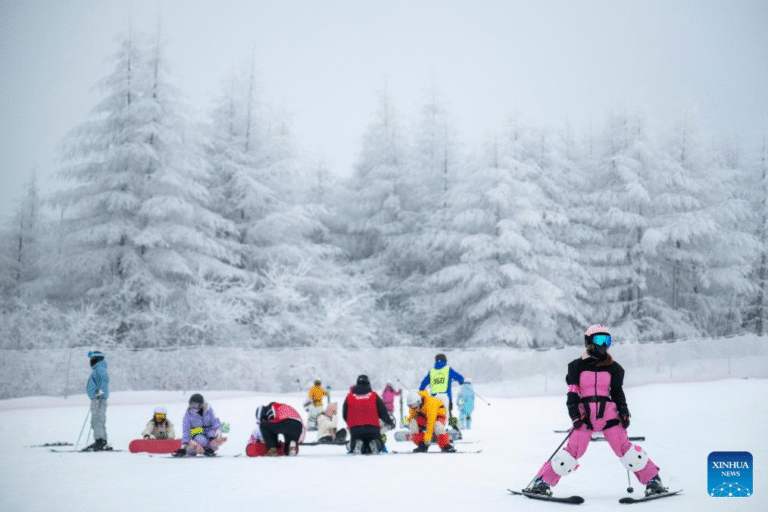 13822525198285439926