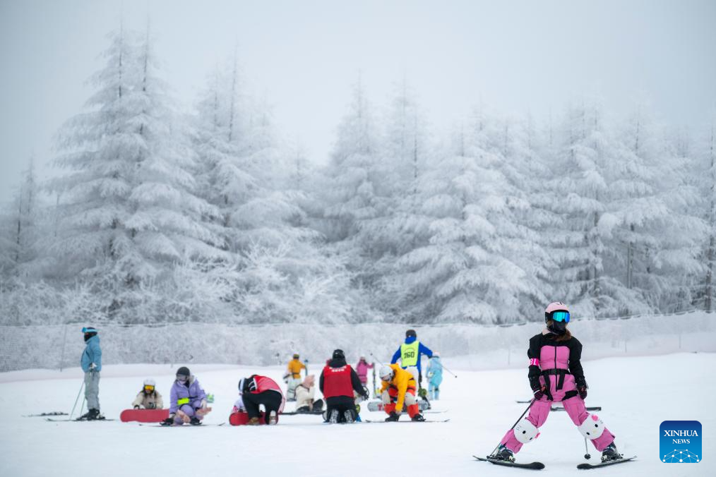 13822525198285439926