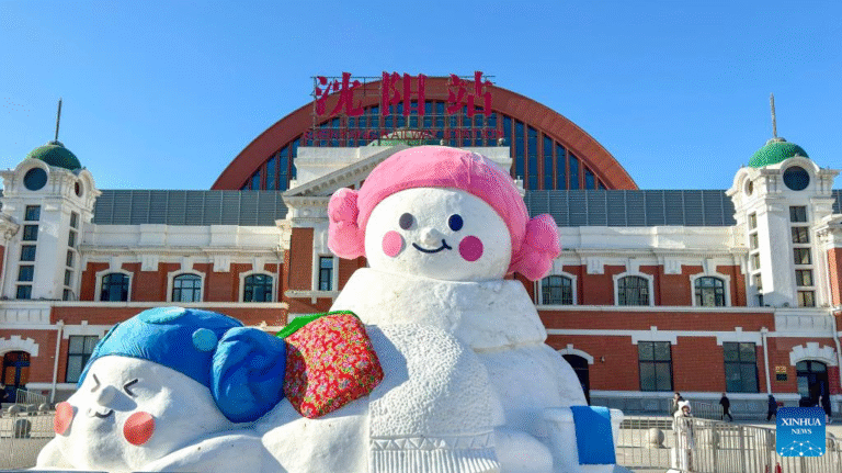 14635941878721100557