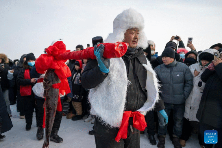 15065617270329109071