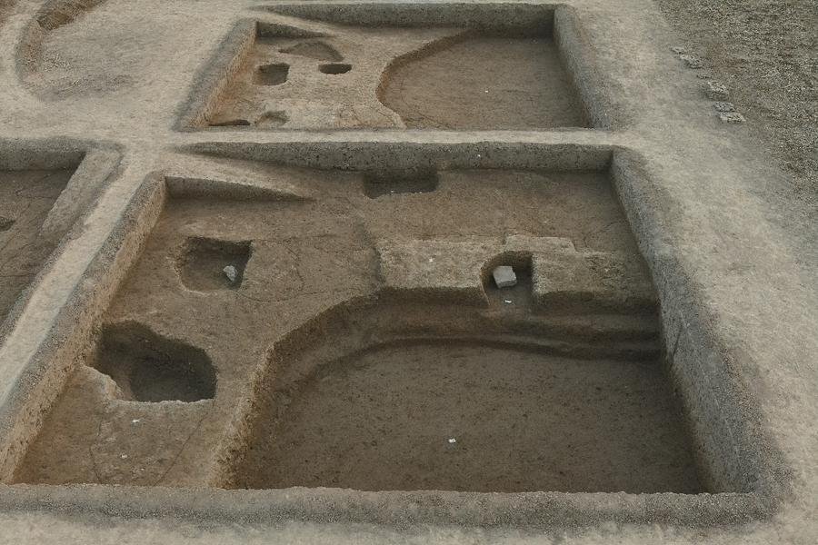 202601209436d9f1a9154edb80e5115dc141ed93_XxjwshE000014_20260120_CBMFN0A001