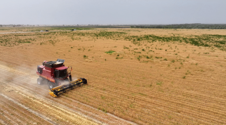 6673ea1a498ed2d78b3c2795