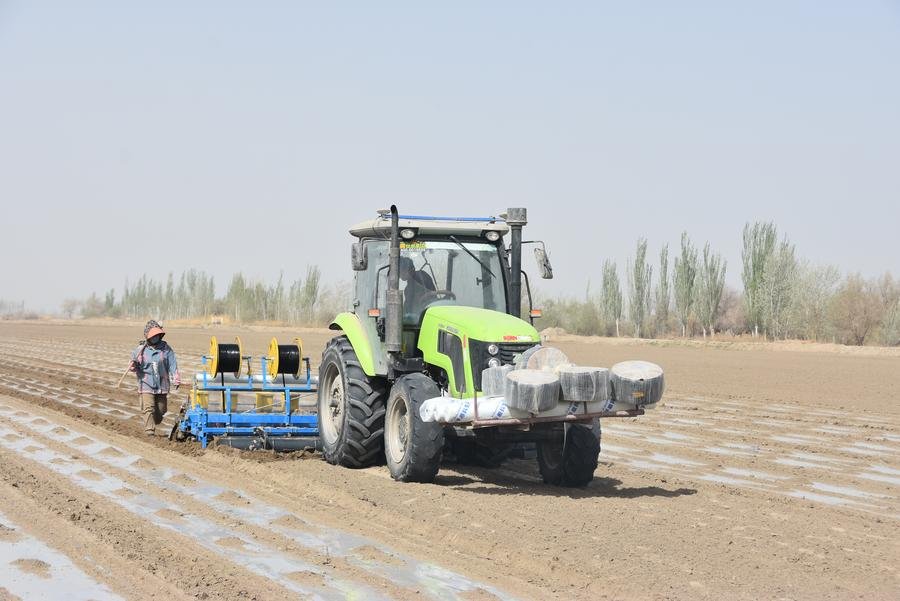 CHINA-XINJIANG-COTTON PLANTING (CN)