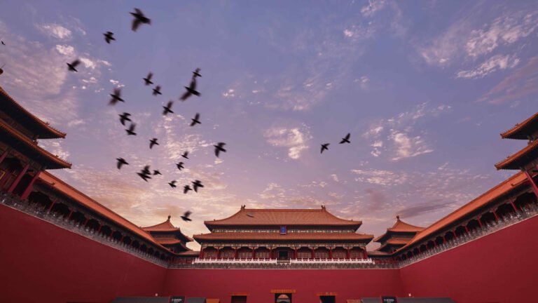 c10b4559771543df8fc4a03c7ac0ad98