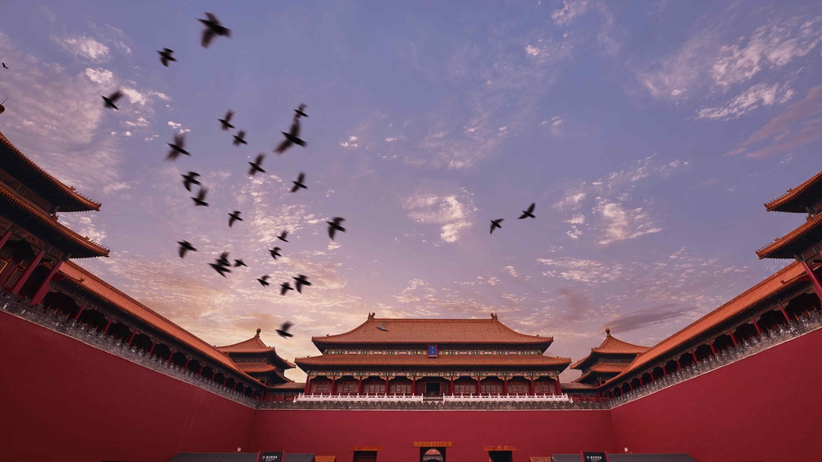 c10b4559771543df8fc4a03c7ac0ad98