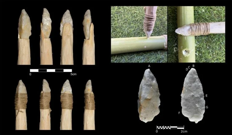 oldest-hafted-stone-tools-china-2-750x437