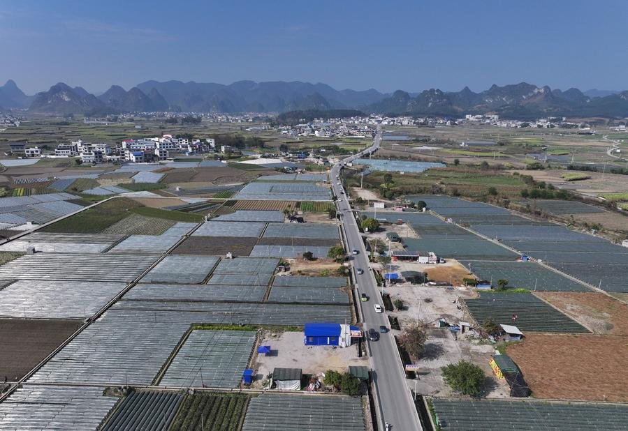 15337205989981910554