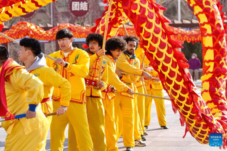 17263476688888284576