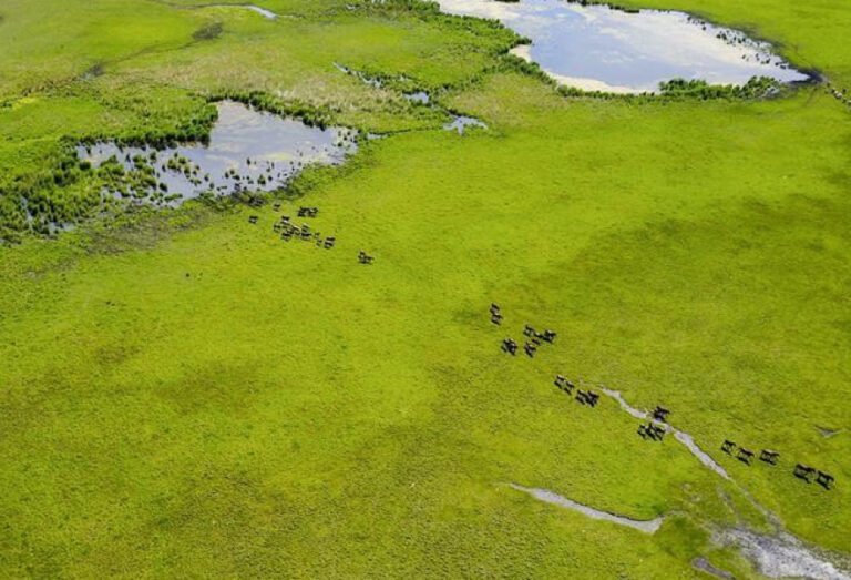 177001469032374085_1200x630