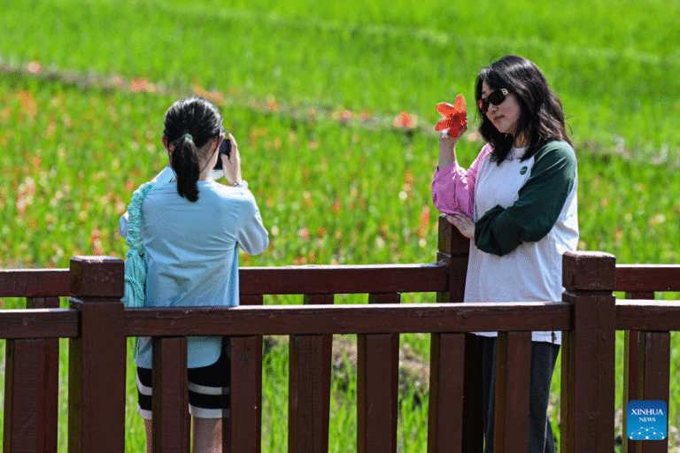 28ebf79e24b41f597534cc81400c0384