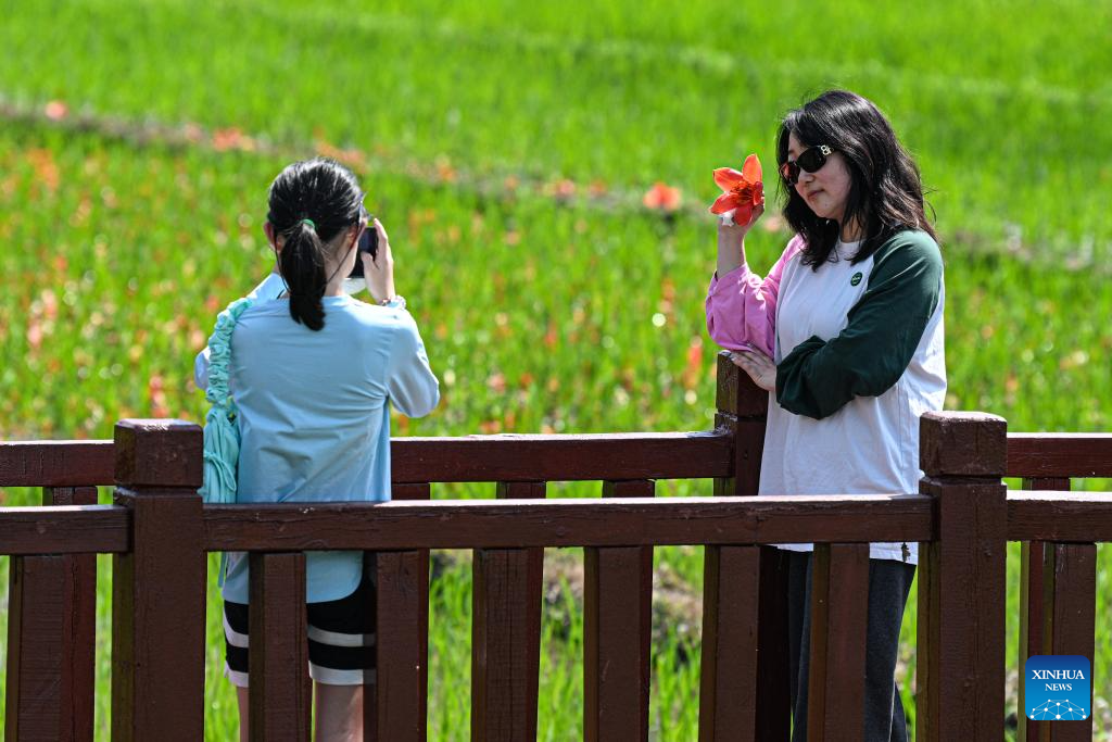 28ebf79e24b41f597534cc81400c0384