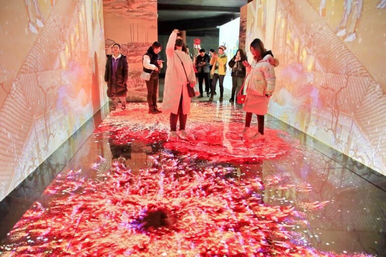 5c491221a3106c65fff6e331