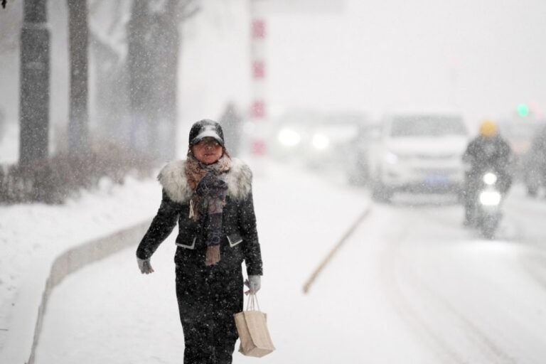 699a89a6747fe699a89a6747ff1771735462699a89a6747fc699a89a6747fd