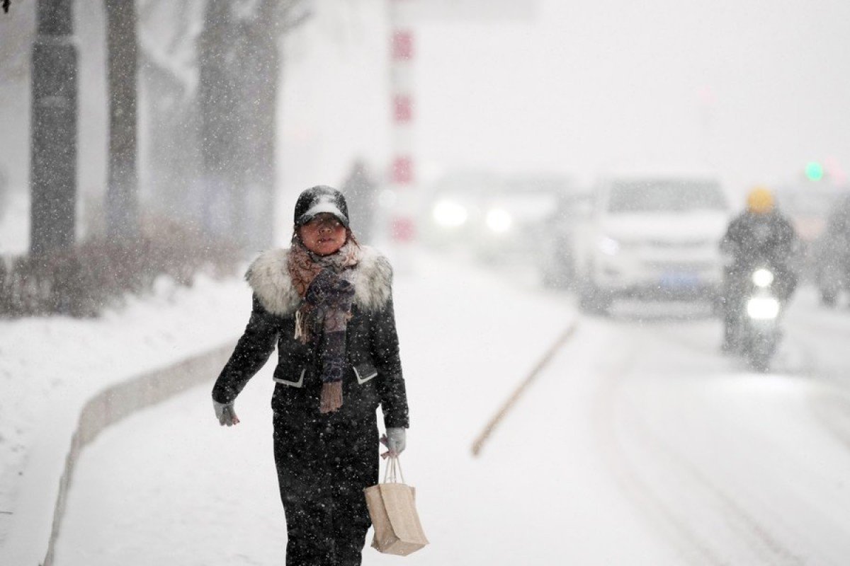 699a89a6747fe699a89a6747ff1771735462699a89a6747fc699a89a6747fd