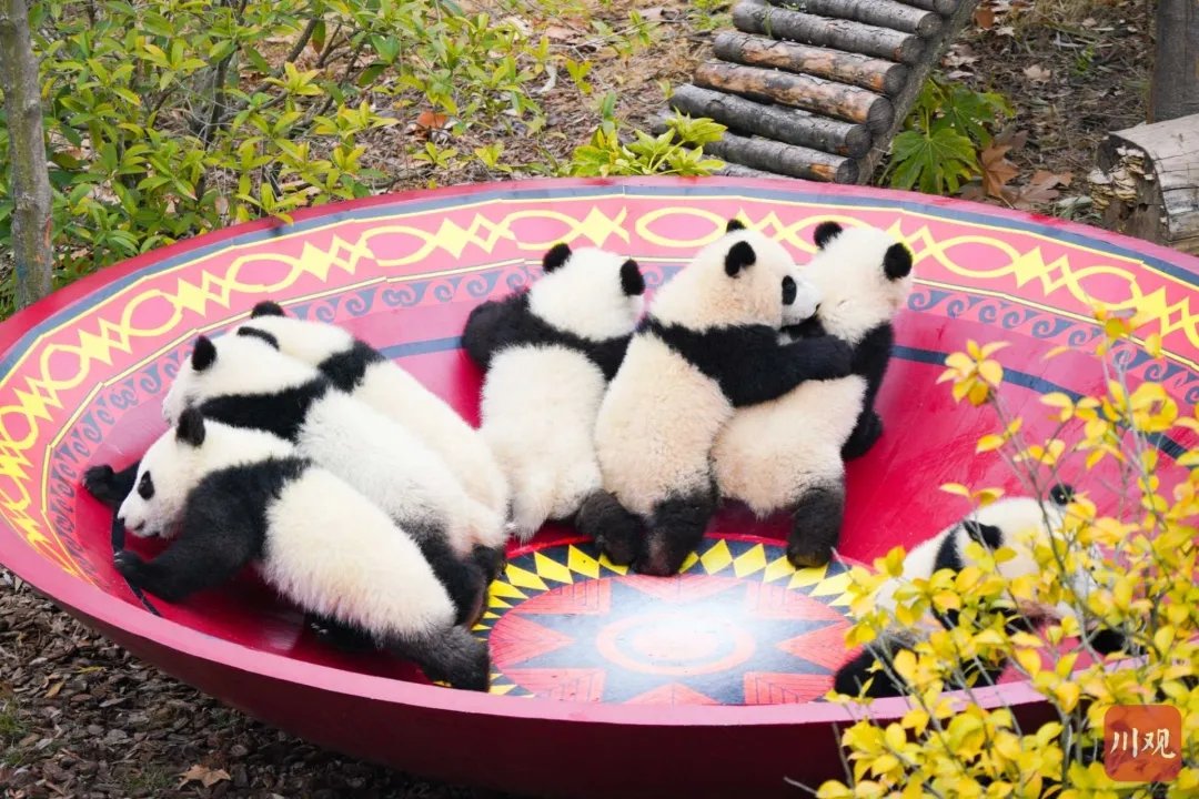 FOREIGN1770877137149VCEU3H2B8B