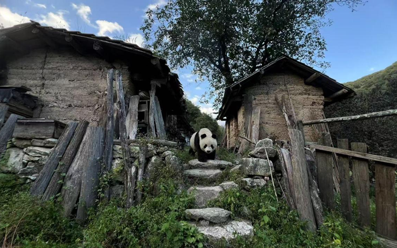 FOREIGN1770960079662NFZ4MAKWMG