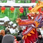 FOREIGN1771725176508HXE8CTHNOL