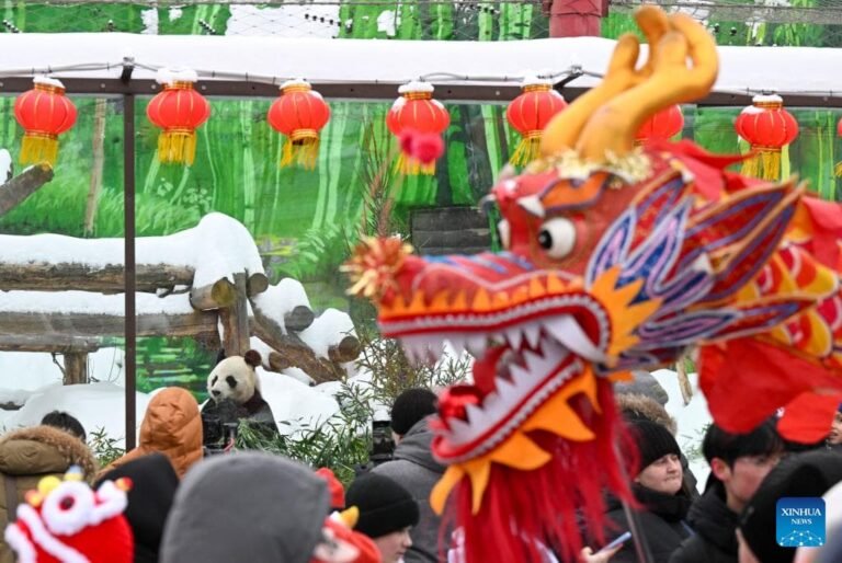 FOREIGN1771725176508HXE8CTHNOL